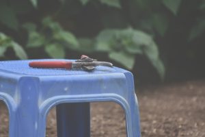 pruner, chair, garden, pruning shears, hand pruner, garden tool, nature, plastic chair, backyard, farm